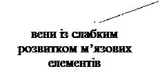 судини мікроциркуляторного русла - student2.ru