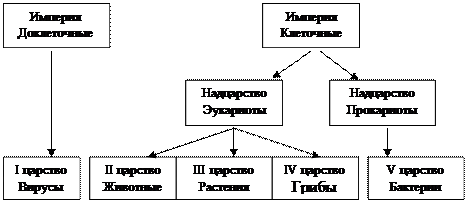 Сущность метода Грама - student2.ru