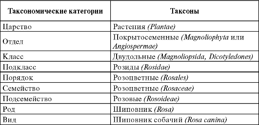 таксономические категории и таксоны. бинарная номенклатура - student2.ru