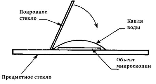 Техника исследования с помощью микроскопа - student2.ru