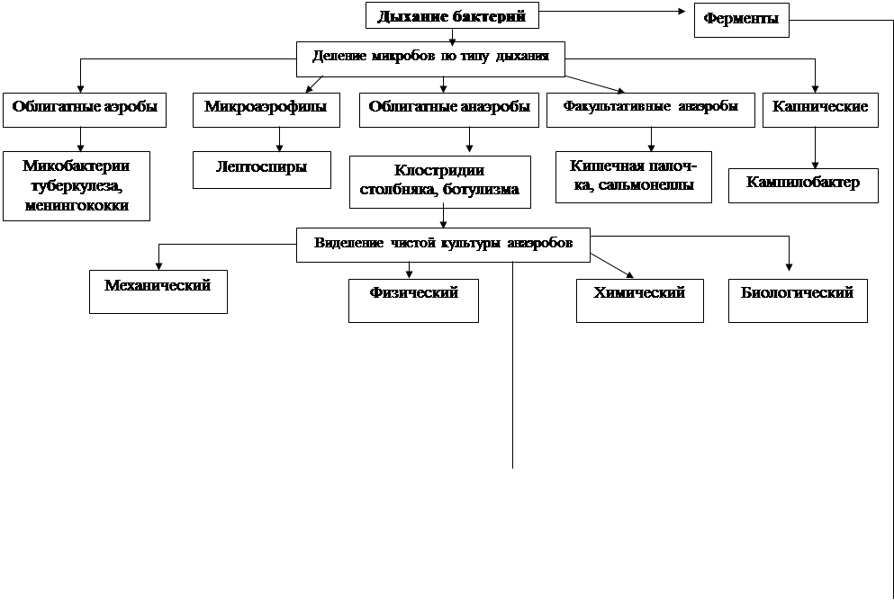 Технологическая карта проведения практического занятия - student2.ru