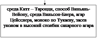 Технологическая карта проведения практического занятия - student2.ru