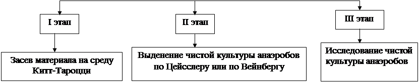 Технологическая карта проведения практического занятия - student2.ru