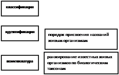 Тема 1. Морфология микроорганизмов, методы изучения - student2.ru