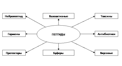 Тема 6: «Витамины. Витамины, биологическое значение. Классификация. Водо- и жирорастворимые витамины». - student2.ru