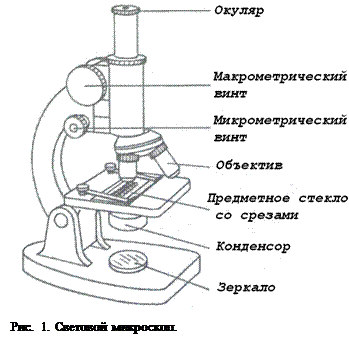 Теоретический материал - student2.ru