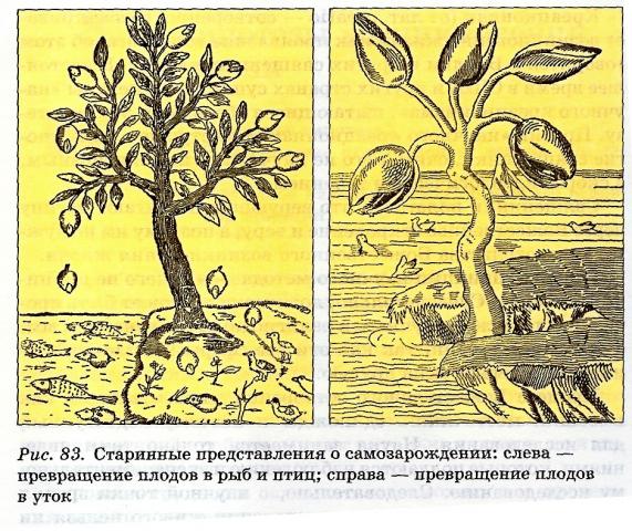 Теория самопроизвольного (спонтанного) зарождения - student2.ru