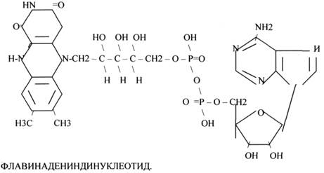 ТИАМИНОВЫЕ КОФЕРМЕНТЫ содержат в своём составе витамин В1 (ТИАМИН) - student2.ru