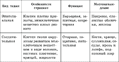 Ткани. Строение и жизнедеятельность органов и систем органов: пищеварения, дыхания, кровообращения, лимфатической системы - student2.ru