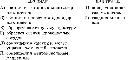 Ткани. Строение и жизнедеятельность органов и систем органов: пищеварения, дыхания, кровообращения, лимфатической системы - student2.ru