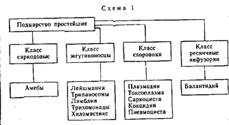 Трансмиссивные заболевания - student2.ru