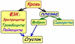 транспортная функция крови - student2.ru