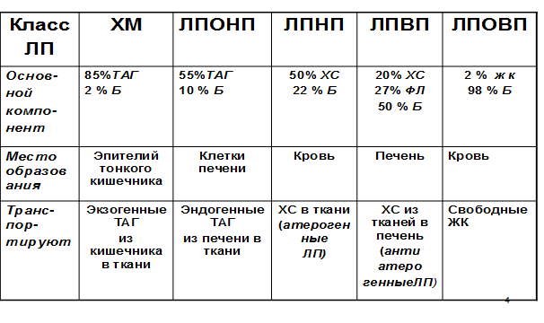 Транспортные формы липидов, строение, функции. Дислипопротеинемии - student2.ru