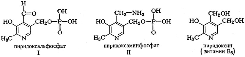 Участие аминокислот в процессах биосинтеза - student2.ru