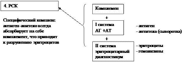 Учение об инфекционном и эпидемическом процессах - student2.ru