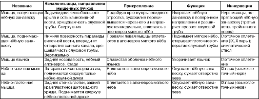 Углубления задней стенки брюшинной полости и таза мужчины. 2 страница - student2.ru