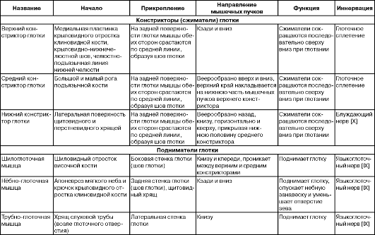 Углубления задней стенки брюшинной полости и таза мужчины. 2 страница - student2.ru