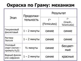 ультраструктура бактериальной клетки - student2.ru