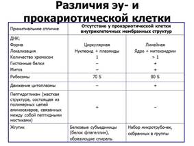 ультраструктура бактериальной клетки - student2.ru