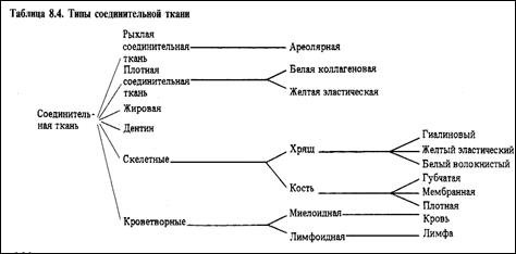 Ультраструктура поперечнополосатых мышц - student2.ru