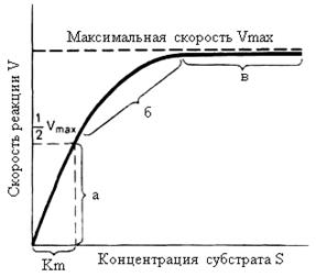 Уравнение Михаэлиса-Ментен - student2.ru