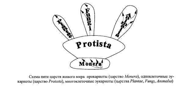 Уровни организации клеточных организмов и микроорганизмов - student2.ru