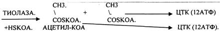 В 1949г. А. ЛЕНИНДЖЕР установил, что бета-окисление ВЖК происходит в МИТОХОНДРИЯХ. Д. ЛИНЕН (1954г.) детально описал все стадии бета-окисления - student2.ru