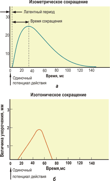 V.по функциональному принципу - student2.ru