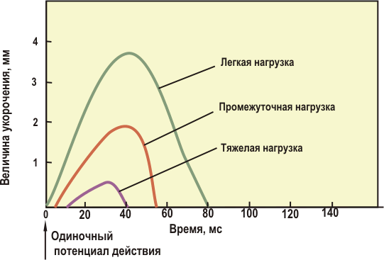 V.по функциональному принципу - student2.ru