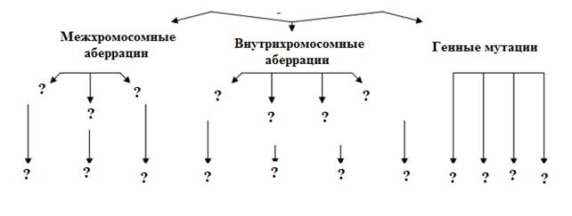 В) эктопия сердца; г)гиперплазия органов - student2.ru