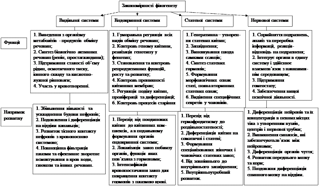 VI. Система навчаючих завдань. Завдання 1 (І рівень складності) - student2.ru