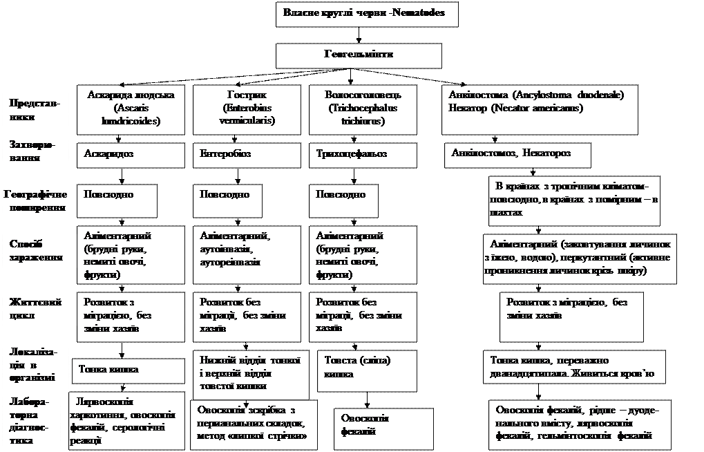 VI. Система навчаючих завдань. Завдання 1 (І рівень складності) - student2.ru