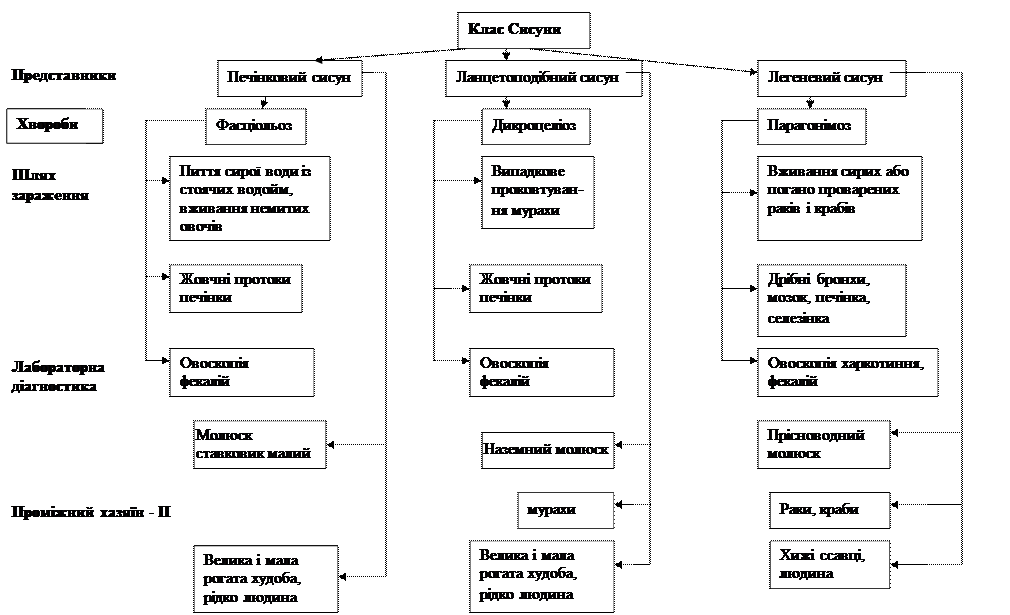 VI. Система навчаючих завдань. Завдання 1 (I рівень складності) - student2.ru