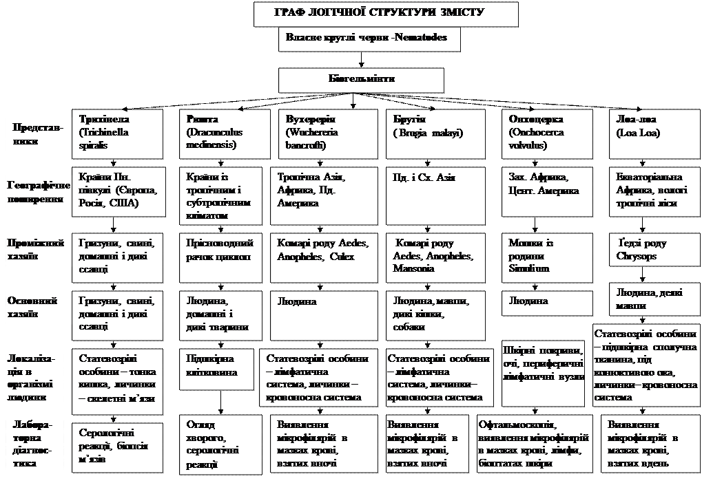 VI. Система навчаючих завдань. Завдання 1 (І рівень складності) - student2.ru