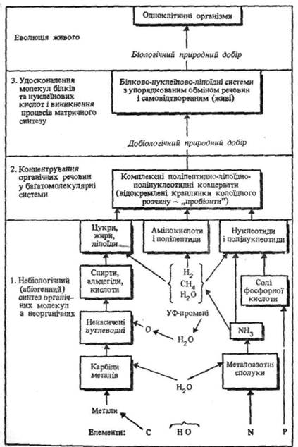 від простих молекул до живих організмів - student2.ru