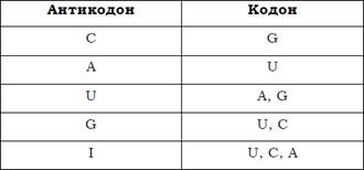 Відповідність між нуклеотидами в першій позиції антикодона і третій позиції кодона - student2.ru