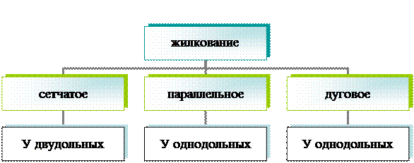 Виды стеблей - student2.ru