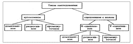 Виды взаимодействия аллельных генов. Зависимость фенотипического эффекта от дозы гена. Понятие о пенетрантности и экспрессивности генов - student2.ru