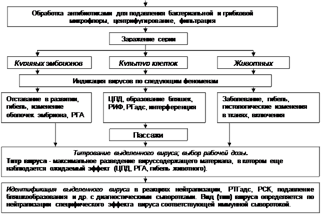 ВИРУСОЛОГИЧЕСКИЙ МЕТОД (схема) - student2.ru