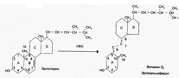 ВИТАМИНЫ – БИОЛОГИЧЕСКАЯ РОЛЬ, КЛАССИФИКАЦИЯ - student2.ru