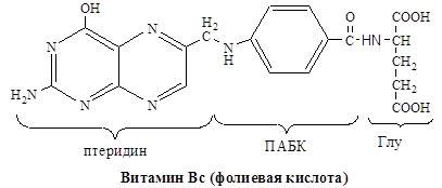 Витамины-коферменты В12, фолиевая кислота участие в метаболических процессах, биохимические проявления гиповитаминозов - student2.ru