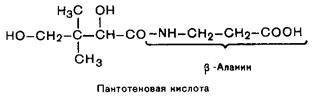Витамины, растворимые в воде - student2.ru