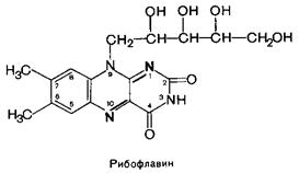 Витамины, растворимые в воде - student2.ru