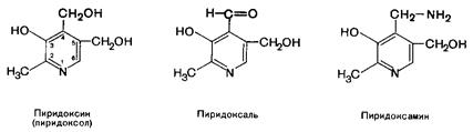 Витамины, растворимые в воде - student2.ru