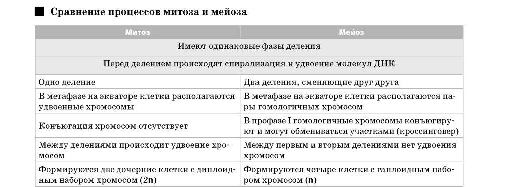 Вода и мин. соли, их роль в клетке. - student2.ru