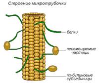 Вопрос 1. Биохимия клетки, структура и функции органоидов. - student2.ru