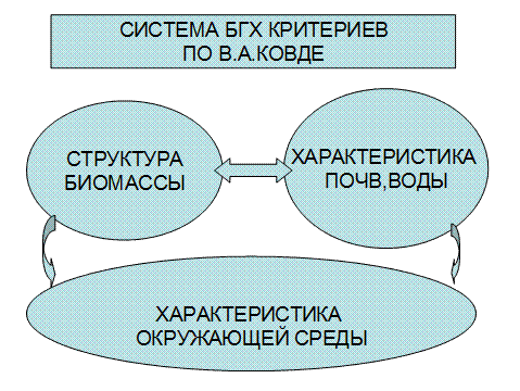 Вопрос -Основное понятие о бигеохимическимх циклах? - student2.ru