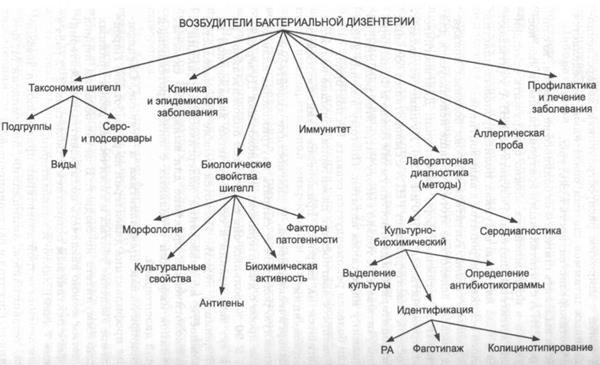 Возбудители бактериальной дизентерии - student2.ru