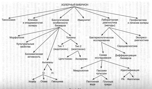 Возбудители бактериальной дизентерии - student2.ru