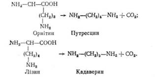 всмоктування продуктів гідролізу білків - student2.ru